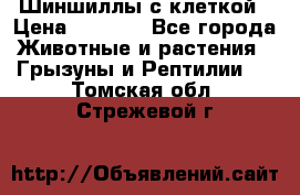 Шиншиллы с клеткой › Цена ­ 8 000 - Все города Животные и растения » Грызуны и Рептилии   . Томская обл.,Стрежевой г.